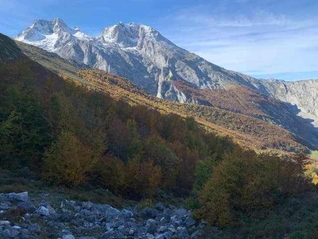 Cumbres De Los Picos Apartamento La Yedra Poo  Dış mekan fotoğraf